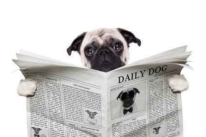 WHAT IF, YOU ALREADY HAVING YOUR FAVORITE NEWSPAPER?